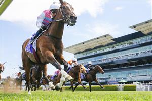 SYDNEY, AUSTRALIA - OCTOBER 23: Kerrin McEvoy on Pandora Blue wins race 4 the Midway Handicap during Sydney Racing at Royal Randwick Racecourse on October 23, 2021 in Sydney, Australia. (Photo by Mark Evans/Getty Images)