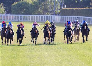 Randwick Highlights - October 23
