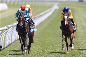 SYDNEY, AUSTRALIA - OCTOBER 23: Tim Clark on Kitzbuhel wins race 2 the TAB Highway Handicap during Sydney Racing at Royal Randwick Racecourse on October 23, 2021 in Sydney, Australia. (Photo by Mark Evans/Getty Images)