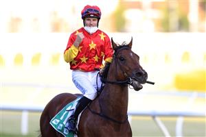 SYDNEY, AUSTRALIA - OCTOBER 23: Tommy Berry on Quantico returns to scale after winning race 10 the Southern Cross Group Handicap during Sydney Racing at Royal Randwick Racecourse on October 23, 2021 in Sydney, Australia. (Photo by Mark Evans/Getty Images)