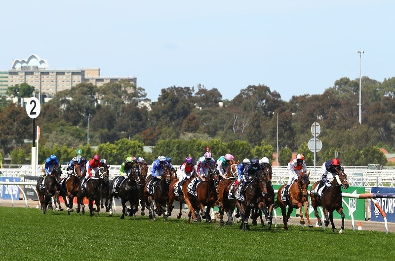 Melbourne Cup Live Stream Watch the 2021 Melbourne Cup live Melbourne Cup Live Stream Watch the 2021 Melbourne Cup live