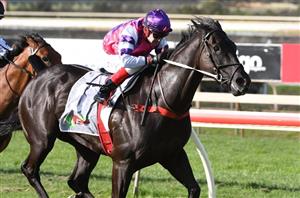 Bendigo Betting Tips