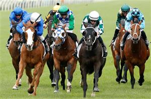 Kennedy Cantala Live Stream - Watch the Flemington race live