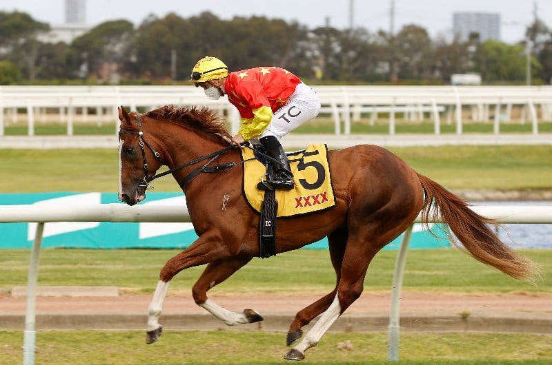 Coolmore Stud Stakes Tips, Free Betting Previews and Best Bets for the