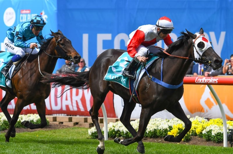 Empire Rose Stakes Tips