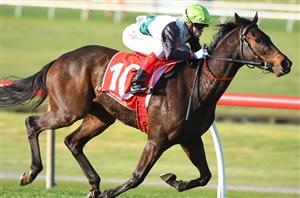 Cantala Stakes 2021 Barrier Draw & Final Field