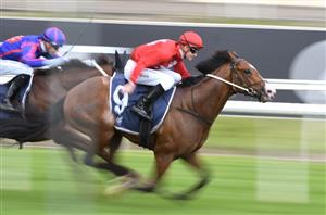 Coolmore Stud Stakes 2021 Barrier Draw & Final Field