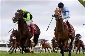 Flemington Betting Tips