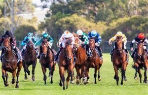 wagga racecourse static