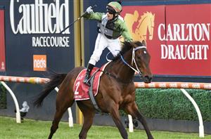 Melbourne Cup Barriers