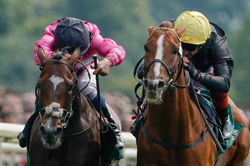 Melbourne Cup Tips