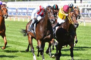 Ascot Tips for 30.10.2021