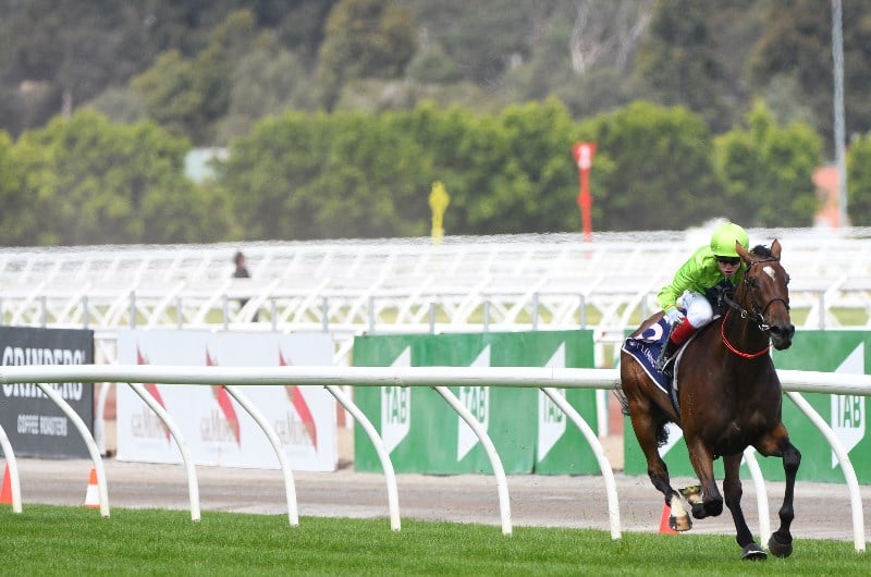 Melbourne Cup Exotics Tips