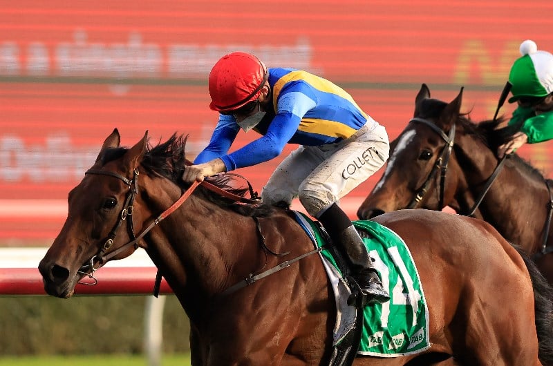 Melbourne Cup Top 5 & 10 odds