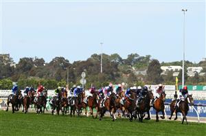Melbourne Cup Runner-by-Runner Guide & Tips - Who will win the Race The Stops A Nation?