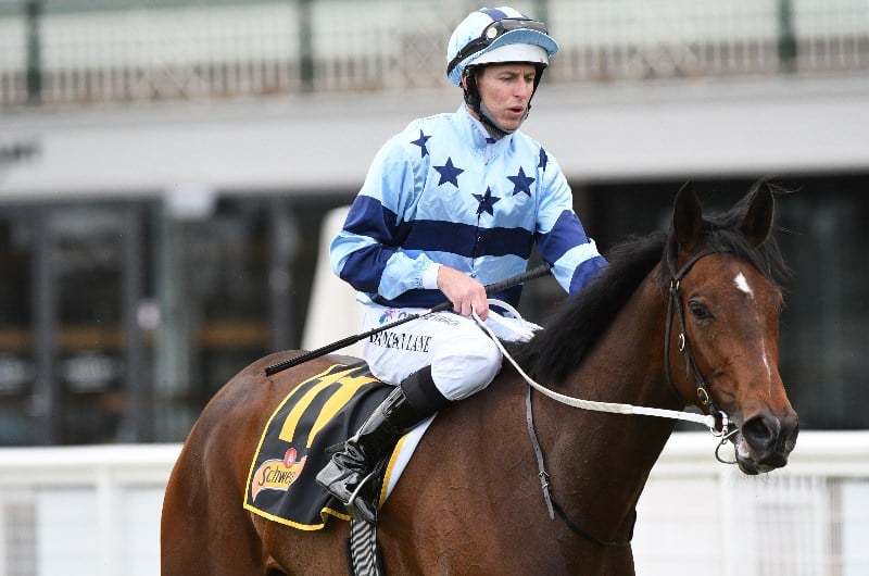 VRC Oaks Betting Tips