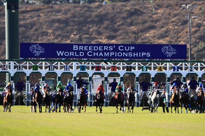 2021 Breeders' Cup Schedule | Dates, Cards and Race Previews