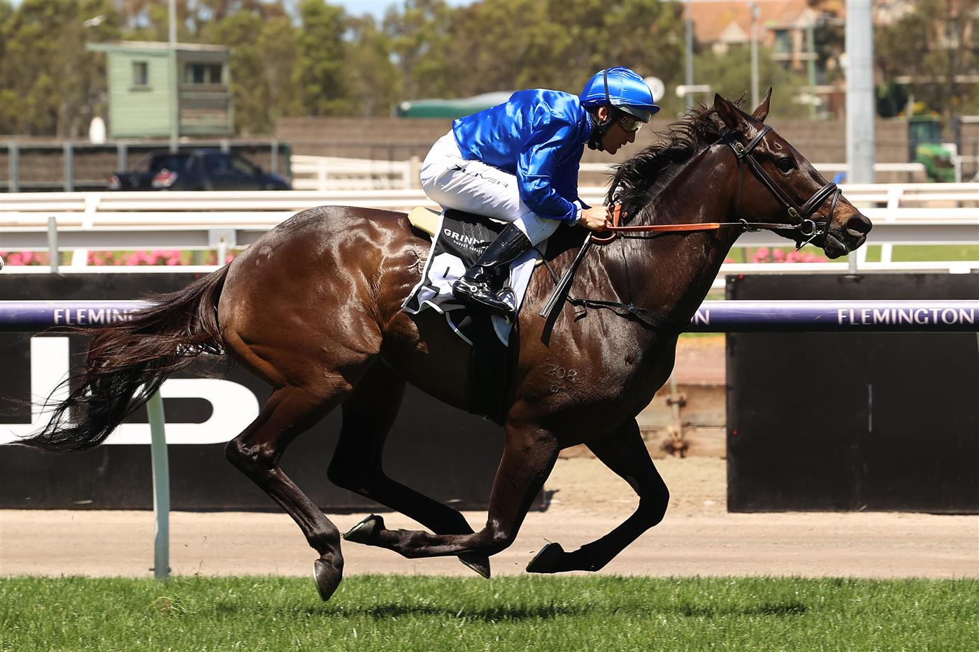 Melbourne Cup Day Highlights 2021 Melbourne Cup Verry Eleegant