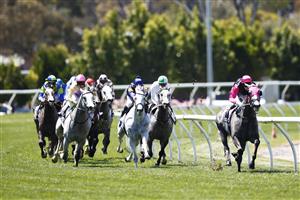 MELBOURNE, AUSTRALIA - NOVEMBER 02: The field run around the bend during race 3, Resimax Group Subzero Handicap during 2021 Melbourne Cup Day at Flemington Racecourse on November 02, 2021 in Melbourne, Australia. (Photo by Daniel Pockett/Getty Images)