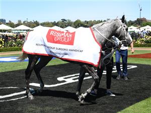 MELBOURNE, AUSTRALIA - NOVEMBER 02: Excelman after winning Race 3, the Resimax Group Subzero Handicap, during 2021 Melbourne Cup Day at Flemington Racecourse on November 02, 2021 in Melbourne, Australia. (Photo by Vince Caligiuri/Getty Images)