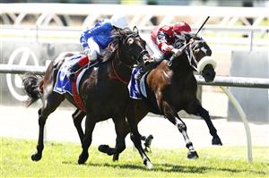 MELBOURNE, AUSTRALIA - NOVEMBER 02: Luke Nolen riding #1 Brereton wins race 1, the Darley Maribyrnong Plate ahead of Craig Williams riding #3 Renosu during 2021 Melbourne Cup Day at Flemington Racecourse on November 02, 2021 in Melbourne, Australia. (Photo by Darrian Traynor/Getty Images)