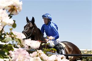 MELBOURNE, AUSTRALIA - NOVEMBER 02: Damien Oliver returns to scale on board #9 Lackeen after winning race 5, the Grinders Coffee Roasters Trophyduring 2021 Melbourne Cup Day at Flemington Racecourse on November 02, 2021 in Melbourne, Australia. (Photo by Darrian Traynor/Getty Images)