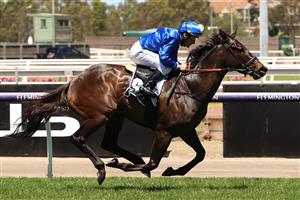 MELBOURNE, AUSTRALIA - NOVEMBER 02: Damien Oliver rides #9 Lackeen to win race 5, the Grinders Coffee Roasters Trophy during 2021 Melbourne Cup Day at Flemington Racecourse on November 02, 2021 in Melbourne, Australia. (Photo by Robert Cianflone/Getty Images)