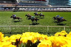 MELBOURNE, AUSTRALIA - NOVEMBER 02: James Mcdonald riding #1 Profiteer wins race 6, The Schweppervescence Plate during 2021 Melbourne Cup Day at Flemington Racecourse on November 02, 2021 in Melbourne, Australia. (Photo by Robert Cianflone/Getty Images)