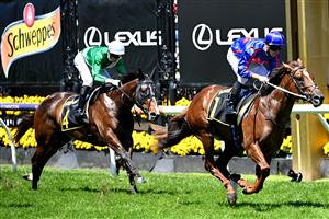 MELBOURNE, AUSTRALIA - NOVEMBER 02: James Mcdonald riding #1 Profiteer wins race 6, The Schweppervescence Plate during 2021 Melbourne Cup Day at Flemington Racecourse on November 02, 2021 in Melbourne, Australia. (Photo by Quinn Rooney/Getty Images)