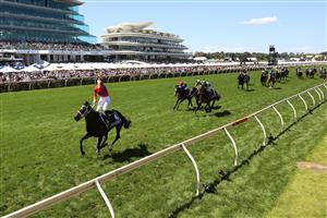MELBOURNE, AUSTRALIA - NOVEMBER 02: James Mcdonald riding #4 Verry Elleegant celebrates winning race 7, the Lexus Melbourne Cup during 2021 Melbourne Cup Day at Flemington Racecourse on November 02, 2021 in Melbourne, Australia. (Photo by Robert Cianflone/Getty Images)