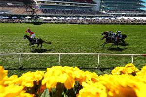 MELBOURNE, AUSTRALIA - NOVEMBER 02: James Mcdonald riding #4 Verry Elleegant celebrates winning race 7, the Lexus Melbourne Cup during 2021 Melbourne Cup Day at Flemington Racecourse on November 02, 2021 in Melbourne, Australia. (Photo by Robert Cianflone/Getty Images)