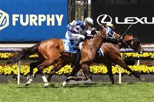 MELBOURNE, AUSTRALIA - NOVEMBER 02: Jarrod Fry riding #3 Milton Park wins race 4, the Furphy Plate ahead of Damien Thornton riding #6 Skyman during 2021 Melbourne Cup Day at Flemington Racecourse on November 02, 2021 in Melbourne, Australia. (Photo by Robert Cianflone/Getty Images)