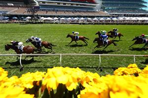 MELBOURNE, AUSTRALIA - NOVEMBER 02: Jarrod Fry riding #3 Milton Park wins race 4 the Furphy Plate, ahead of Damien Thornton riding #6 Skyman, during 2021 Melbourne Cup Day at Flemington Racecourse on November 02, 2021 in Melbourne, Australia. (Photo by Robert Cianflone/Getty Images)