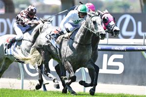 MELBOURNE, AUSTRALIA - NOVEMBER 02: Blaike McDougall riding #4 Excelman wins race 3, Resimax Group Subzero Handicap ahead of Craig Newitt riding #6 Naval Envoy during 2021 Melbourne Cup Day at Flemington Racecourse on November 02, 2021 in Melbourne, Australia. (Photo by Vince Caligiuri/Getty Images)