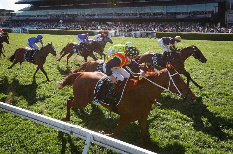 VRC Sprint Classic Tips