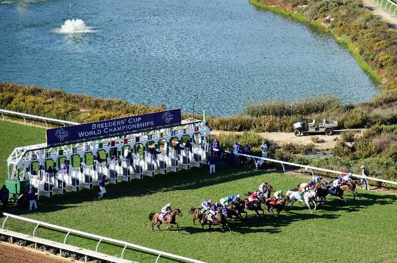 del mar breeders cup