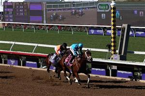 del mar breeders cup