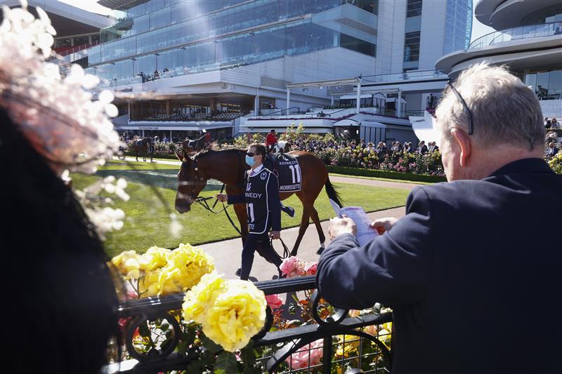 MELBOURNE, AUSTRALIA - NOVEMBER 04: Racegoers look on as horses parade around the mounting yard ahead of race 8, the Kennedy Oaks during 2021 Oaks Day at Flemington Racecourse on November 04, 2021 in Melbourne, Australia. (Photo by Daniel Pockett/Getty Images)