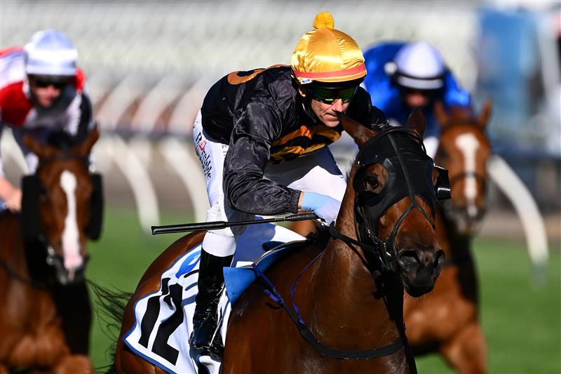 MELBOURNE, AUSTRALIA - NOVEMBER 04: Brett Prebble riding #12 Flying Evelyn wins race 9, the Network 10 Red Roses Stakes during 2021 Oaks Day at Flemington Racecourse on November 04, 2021 in Melbourne, Australia. (Photo by Quinn Rooney/Getty Images)