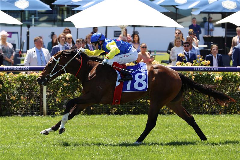 MELBOURNE, AUSTRALIA - NOVEMBER 04: Craig Williams riding #18 See You In Heaven wins race 3, the Darley Ottawa Stakes during 2021 Oaks Day at Flemington Racecourse on November 04, 2021 in Melbourne, Australia. (Photo by Robert Cianflone/Getty Images)