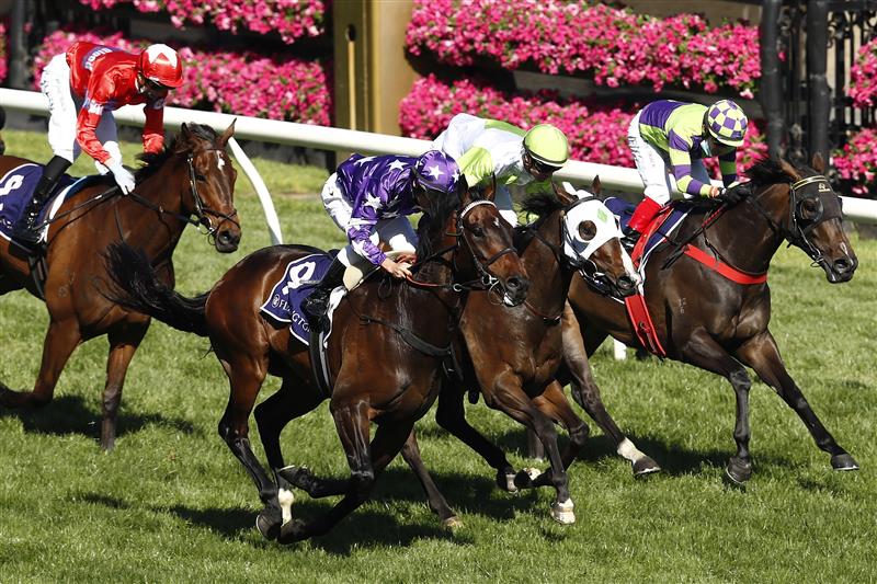 MELBOURNE, AUSTRALIA - NOVEMBER 04: Damien Oliver riding #9 Bermadez wins race 7, the Melbourne Cup Carnival Country Final during 2021 Oaks Day at Flemington Racecourse on November 04, 2021 in Melbourne, Australia. (Photo by Darrian Traynor/Getty Images)