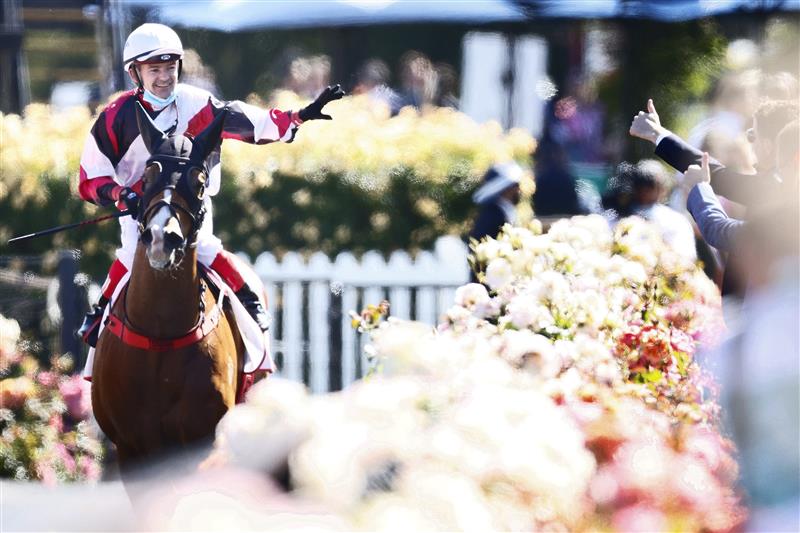MELBOURNE, AUSTRALIA - NOVEMBER 04: Dean Yendall riding #2 Halvorsen celebrates winning race 6, the G.H.Mumm Century Stakes during 2021 Oaks Day at Flemington Racecourse on November 04, 2021 in Melbourne, Australia. (Photo by Daniel Pockett/Getty Images)