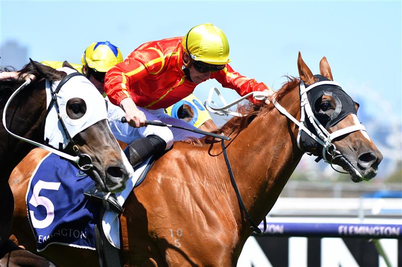 MELBOURNE, AUSTRALIA - NOVEMBER 04: James McDonald riding #5 Djukon wins race 4, the Twitter Trophy during 2021 Oaks Day at Flemington Racecourse on November 04, 2021 in Melbourne, Australia. (Photo by Vince Caligiuri/Getty Images)
