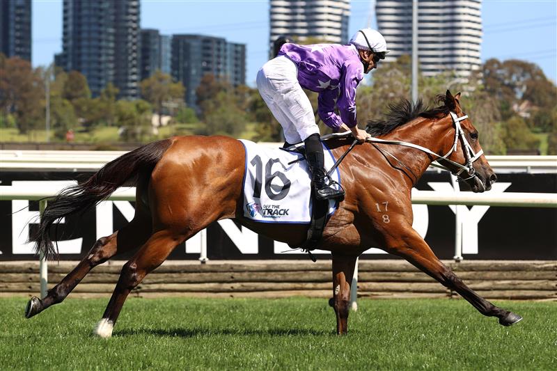 MELBOURNE, AUSTRALIA - NOVEMBER 04: James McDonald riding #16 Espiona wins race 5, the Off The Track Desirable Stakes during 2021 Oaks Day at Flemington Racecourse on November 04, 2021 in Melbourne, Australia. (Photo by Robert Cianflone/Getty Images)
