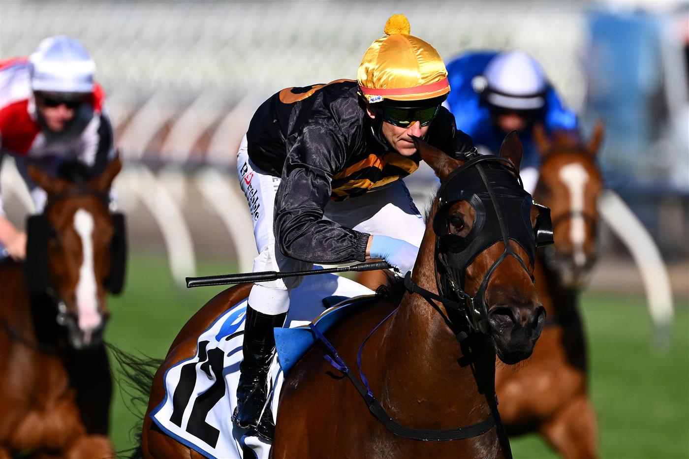 MELBOURNE, AUSTRALIA - NOVEMBER 04: Brett Prebble riding #12 Flying Evelyn wins race 9, the Network 10 Red Roses Stakes during 2021 Oaks Day at Flemington Racecourse on November 04, 2021 in Melbourne, Australia. (Photo by Quinn Rooney/Getty Images)