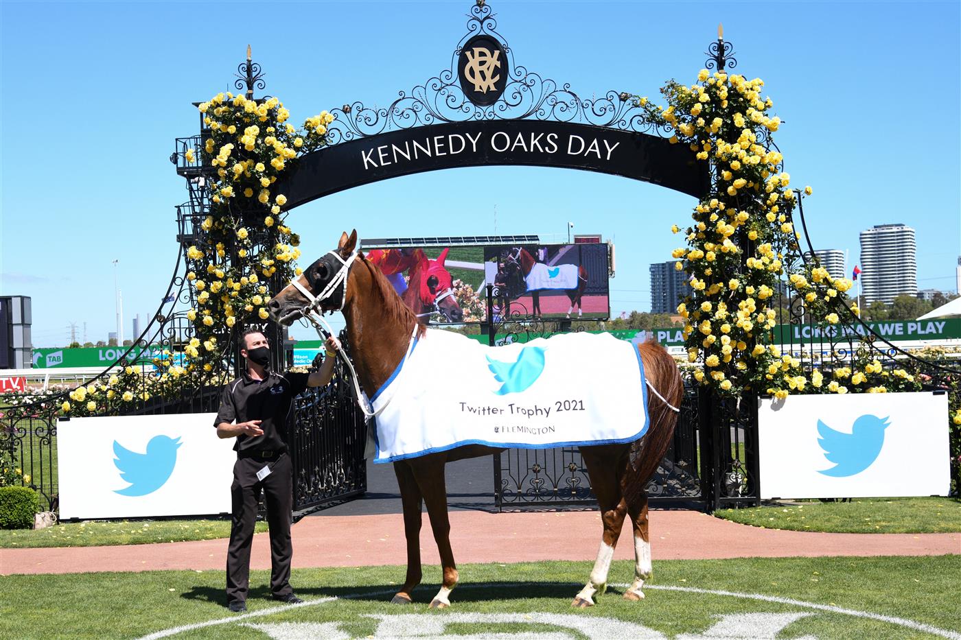 MELBOURNE, AUSTRALIA - NOVEMBER 04: Djukon after winning Race 4, the Twitter Trophy,  during 2021 Oaks Day at Flemington Racecourse on November 04, 2021 in Melbourne, Australia. (Photo by Vince Caligiuri/Getty Images)
