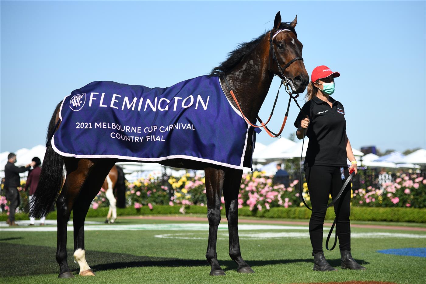 MELBOURNE, AUSTRALIA - NOVEMBER 04: #9 Bermadez is seen after winning race 7, the Melbourne Cup Carnival Country Final during 2021 Oaks Day at Flemington Racecourse on November 04, 2021 in Melbourne, Australia. (Photo by Vince Caligiuri/Getty Images)