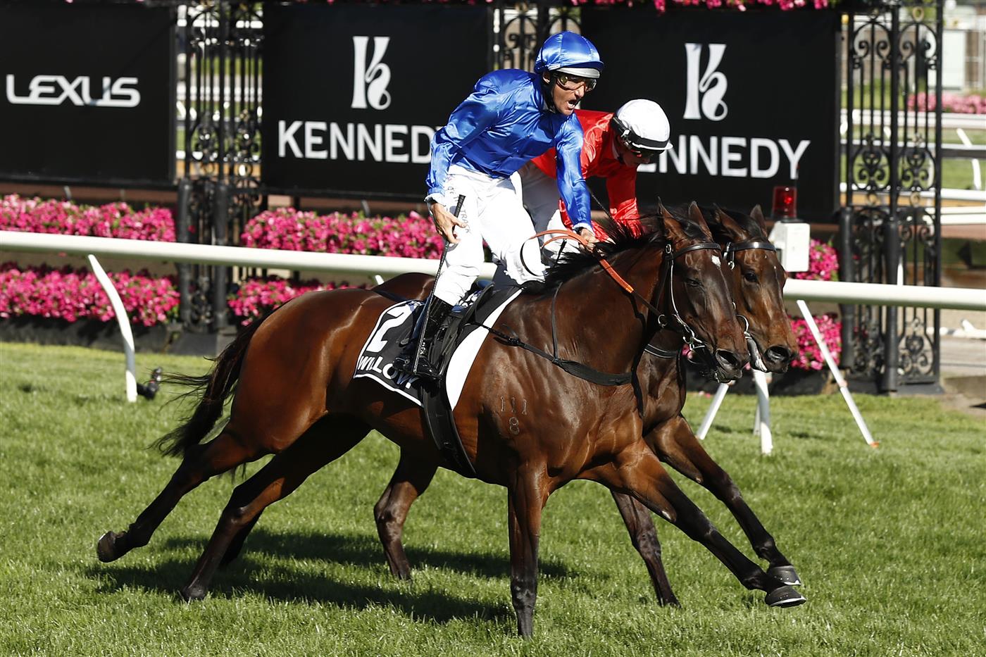 MELBOURNE, AUSTRALIA - NOVEMBER 04: Damien Oliver riding #2 Willowy leads Michael Dee #6 Douceur to win race 8, the Kennedy Oaks during 2021 Oaks Day at Flemington Racecourse on November 04, 2021 in Melbourne, Australia. (Photo by Darrian Traynor/Getty Images)