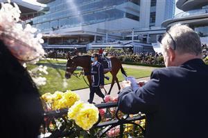 MELBOURNE, AUSTRALIA - NOVEMBER 04: Racegoers look on as horses parade around the mounting yard ahead of race 8, the Kennedy Oaks during 2021 Oaks Day at Flemington Racecourse on November 04, 2021 in Melbourne, Australia. (Photo by Daniel Pockett/Getty Images)