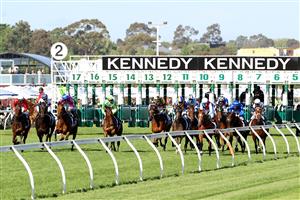 MELBOURNE, AUSTRALIA - NOVEMBER 04: The field jump the barrier in race 8, the Kennedy Oaks during 2021 Oaks Day at Flemington Racecourse on November 04, 2021 in Melbourne, Australia. (Photo by Robert Cianflone/Getty Images)